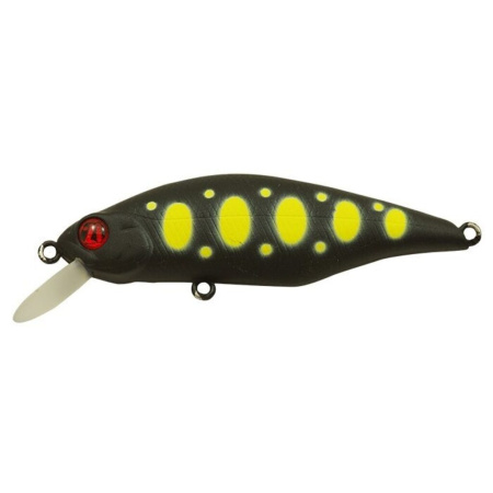 Vobleris Pontoon21 Chaos 72