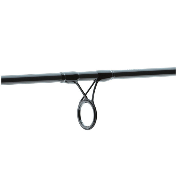 Spiningas Daiwa Exceler Traditional 3.15m 15-40g