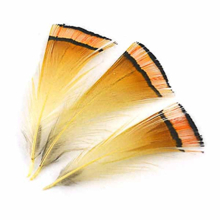 Plunksnos Turrall Golden Pheasant Crest Tippet