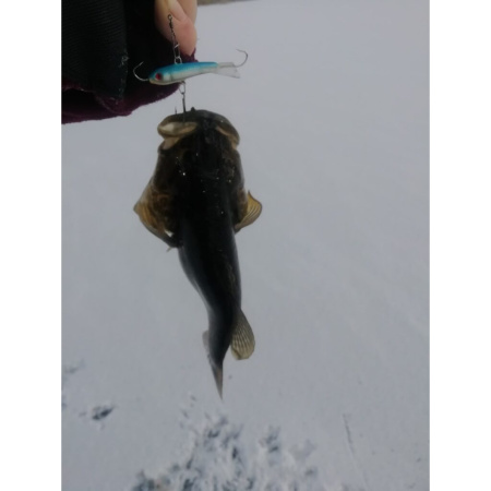 Švytuoklė Lucky John III Classic