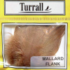 Plunksnos Turrall Mallard Flank
