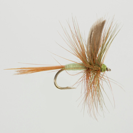 Muselė Turrall Dark Olive Dun DW