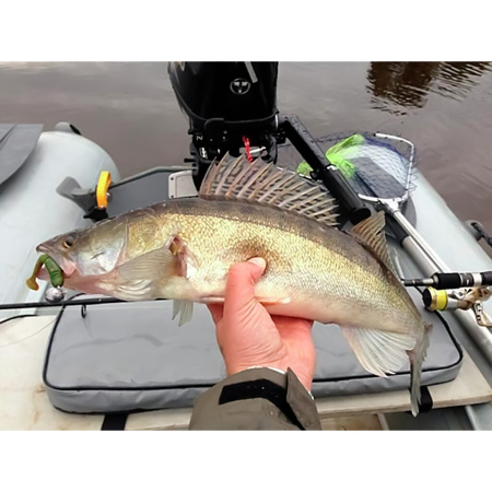 Guminukas Lucky John Tioga 2'