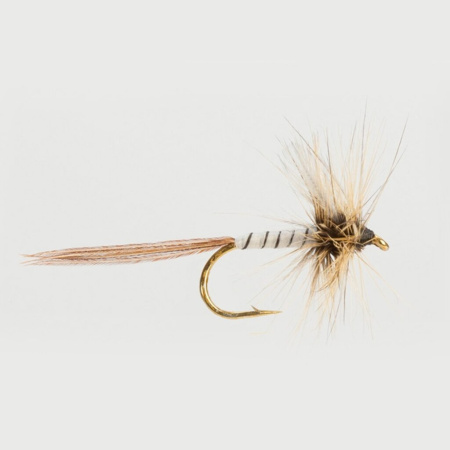 Muselė Turrall Mayflies Spent Gnat