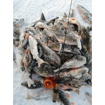 Švytuoklė Lucky John IV Nordic