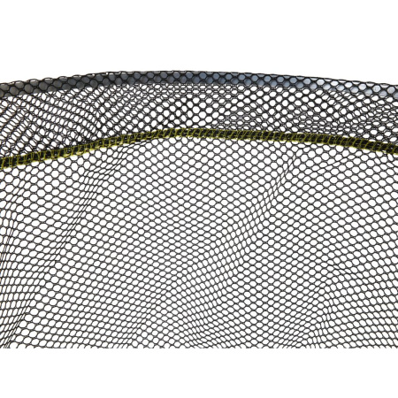 Graibšto galva Salmo