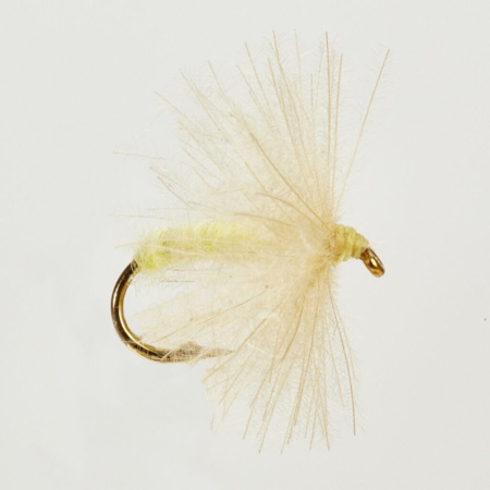 Muselė Turrall Cul de Canard Dun Pale Watery