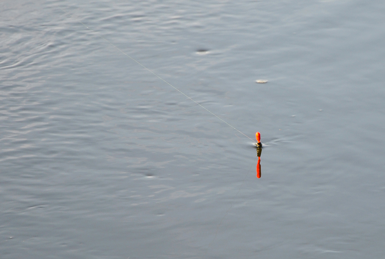Jei plūdinę derinsime su dugnine