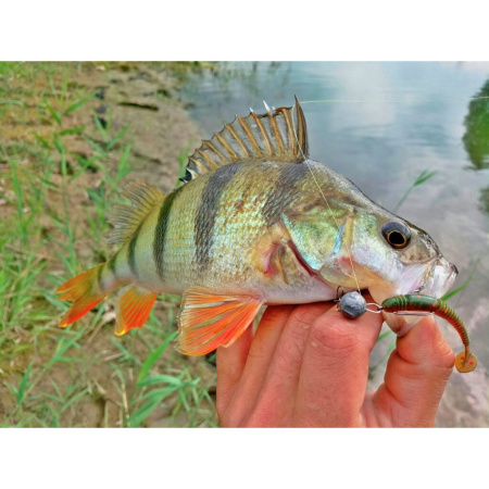 Guminukas Lucky John Tioga 3.4"