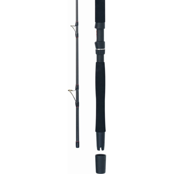 Spiningas WFT Go North II 200-600g