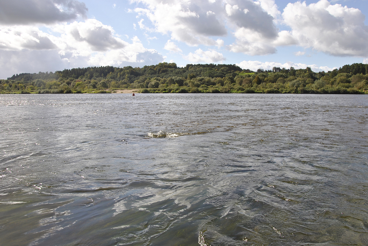 Lietuviškų vartiklių realijos