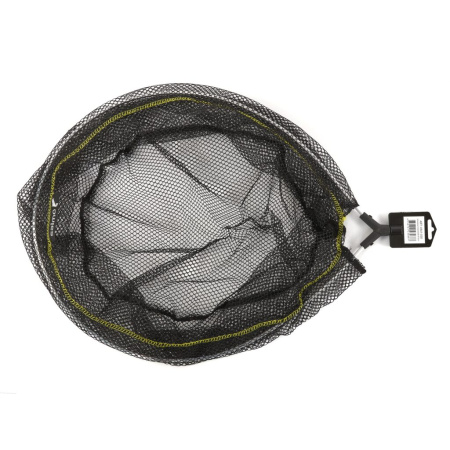 Graibšto galva Salmo