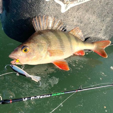 Švytuoklė Lucky John IV Nordic