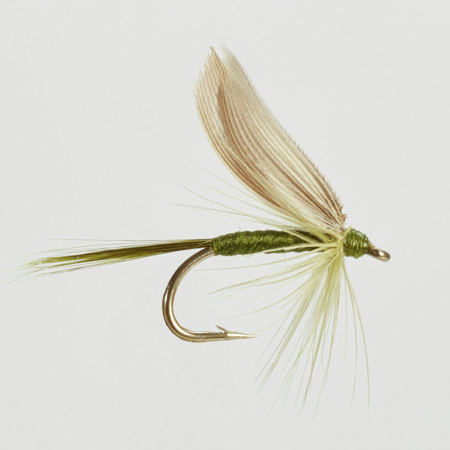 Muselė Turrall Dark Olive Dun