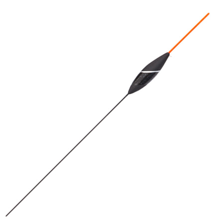 Plūdė Salmo Balsa