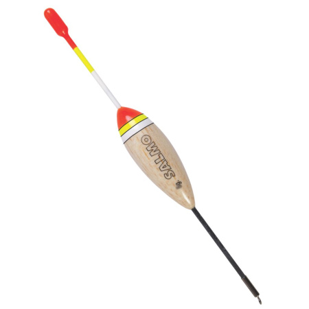 Plūdė Salmo Balsa