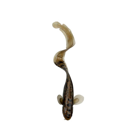Guminukas SG 3D Burbot 25cm 75g Motor Oil