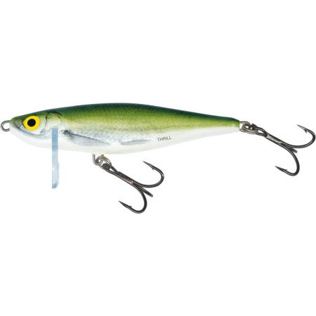 Vobleris Salmo Thrill S 5cm OLB