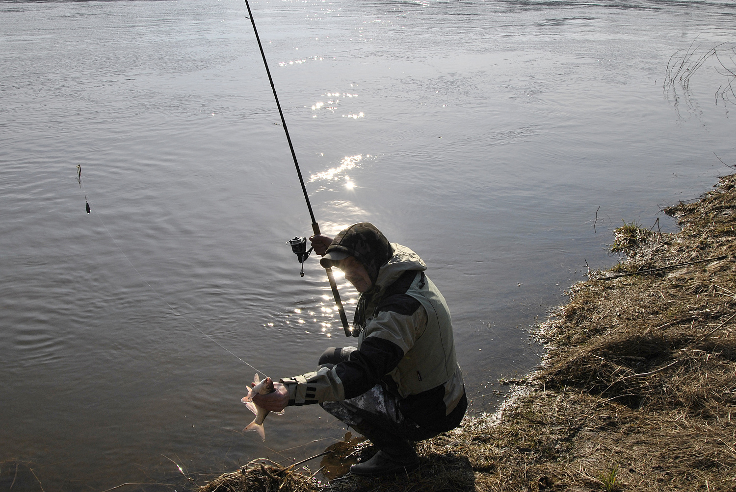 Kuoja, kuriai reikia tvirto pavadėlio