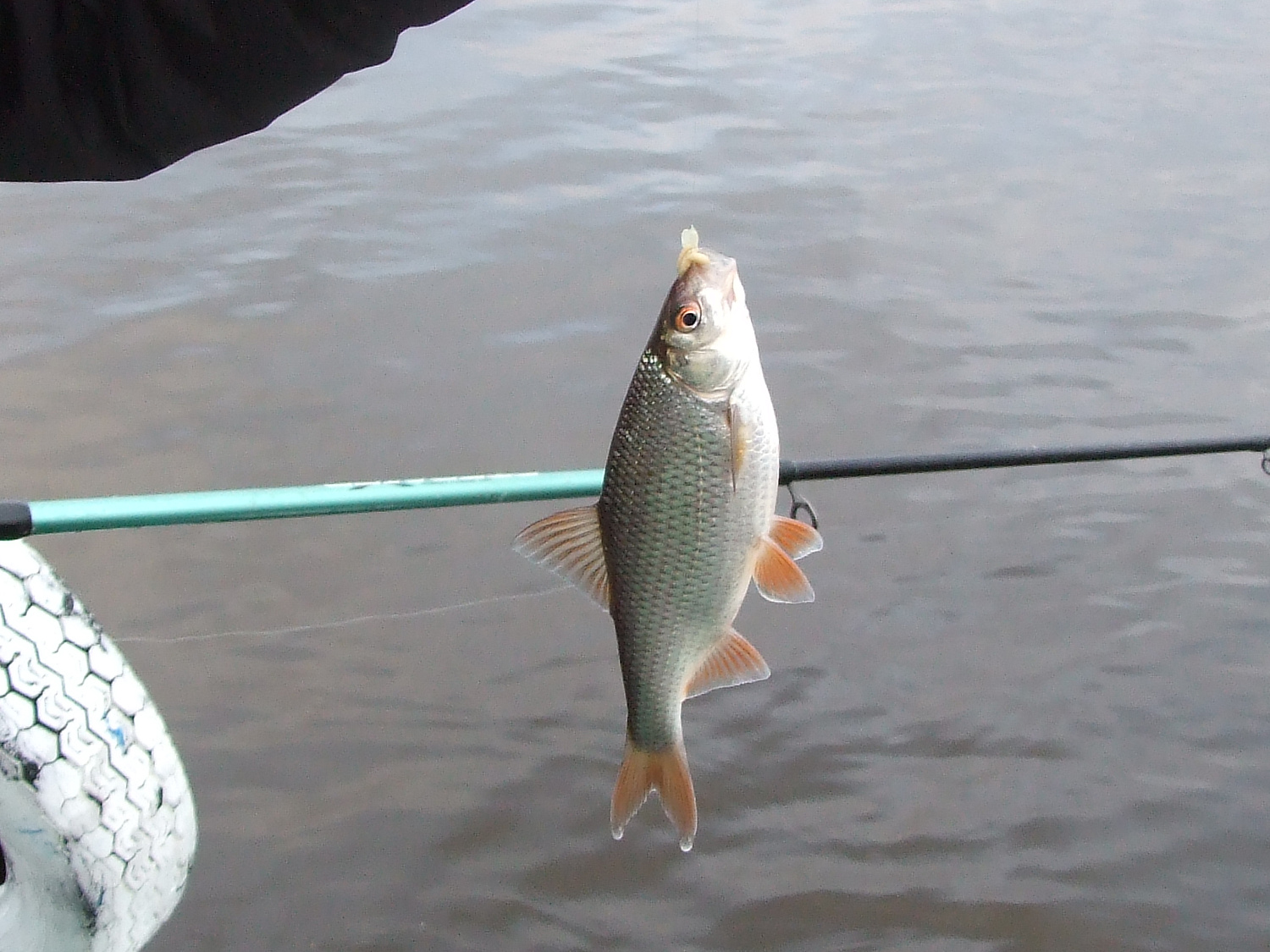 Kabliukų aštrumas ir pakirtimo kokybė