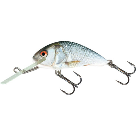 Vobleris Salmo Hornet F 60 Real Dace