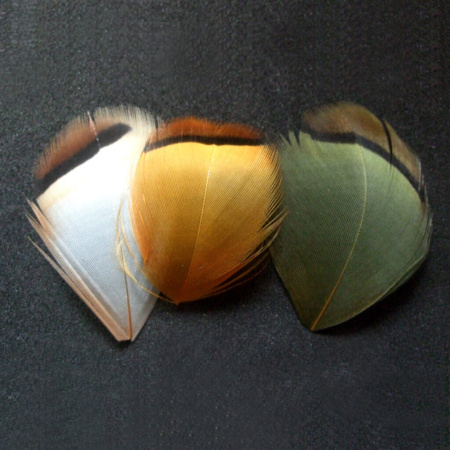 Plunksnos Turrall Partridge Hackles French Natural
