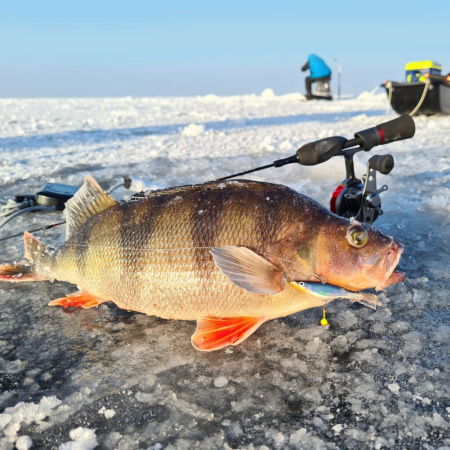 Švytuoklė Lucky John IV Viking
