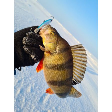 Švytuoklė Lucky John IV Nordic