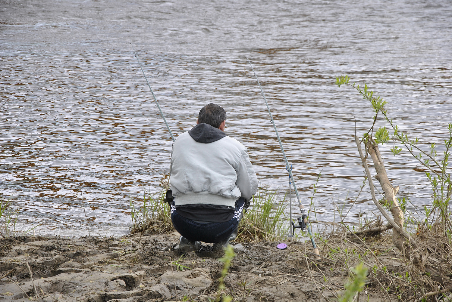 Paprastas ir nepaprastas žiobris