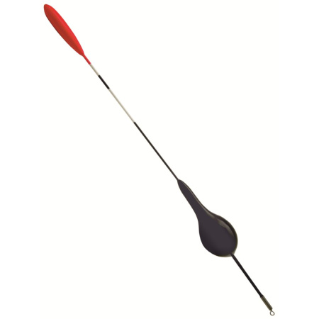 Plūdė Salmo