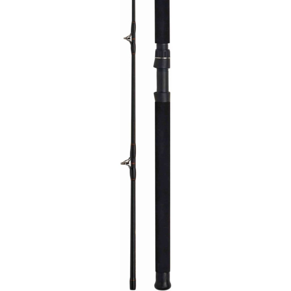 Spiningas WFT Never Crack Boat Cat 200-1000g