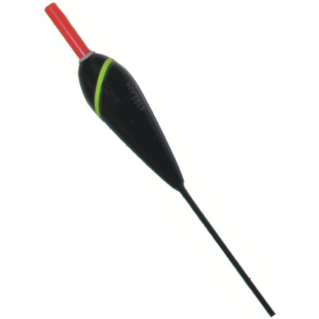Plūdė Salmo Balsa