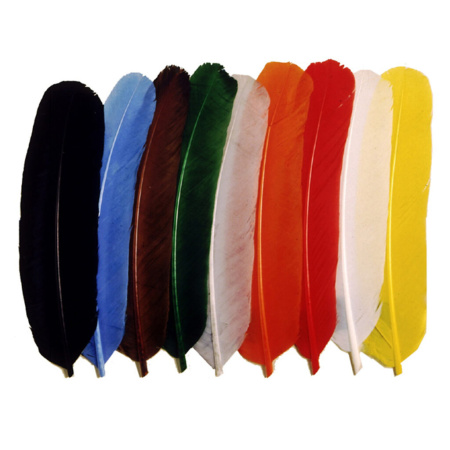 Plunksnos Turrall Goose Quills