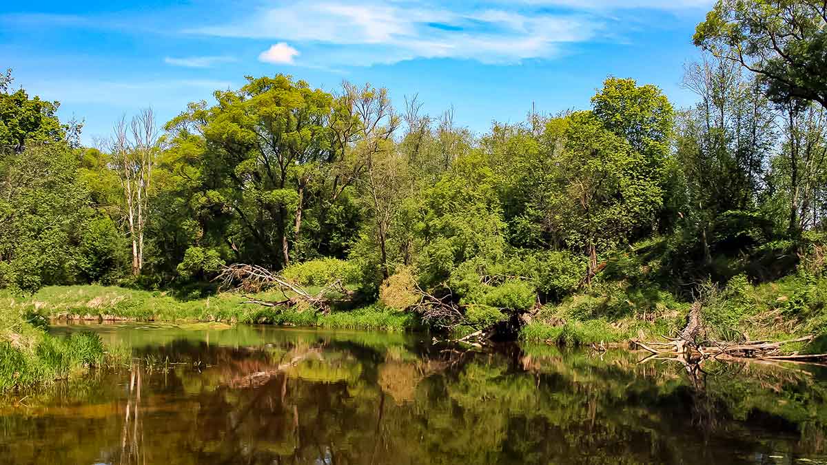 Paslaptingi Dubysos vingiai. Bandykime plūdinę
