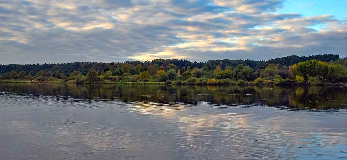 Masalai ne pagal paskirtį. Žieminės blizgės anatomija Masalai ne pagal paskirtį. Žieminės blizgės anatomija