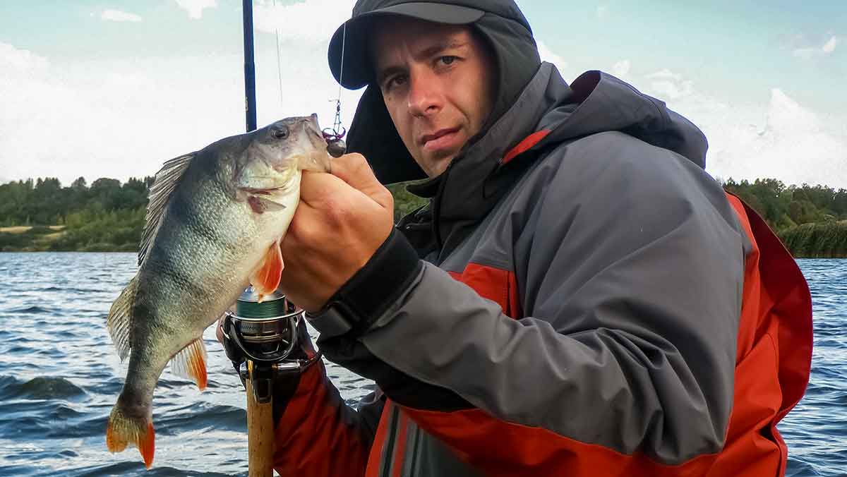 Drop-shot montažo tobulinimo versija Drop-shot montažo tobulinimo versija