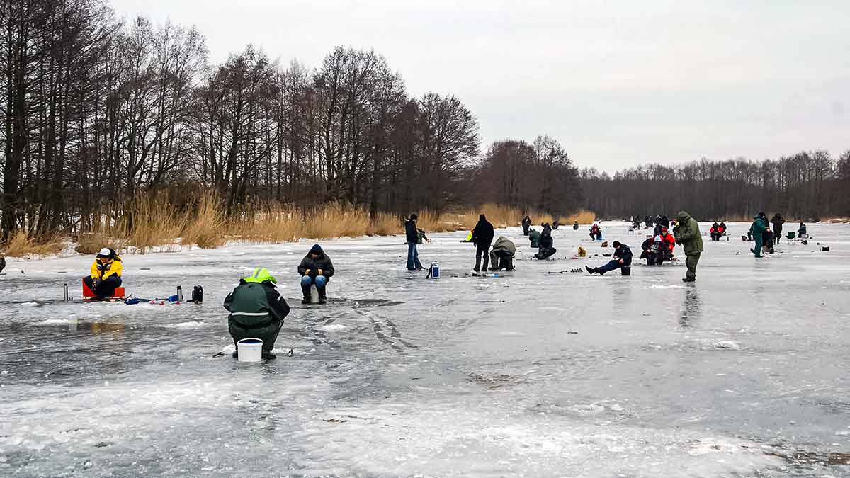 Kaip „pasikinkyti“ ožką Kaip „pasikinkyti“ ožką