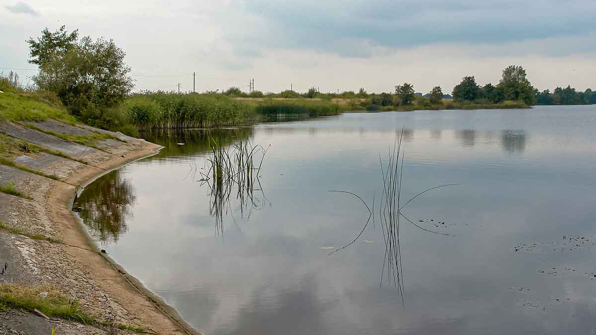Sužvejokime retai pagaunamą žuvį. Amūro paieškos ir gundymas Sužvejokime retai pagaunamą žuvį. Amūro paieškos ir gundymas
