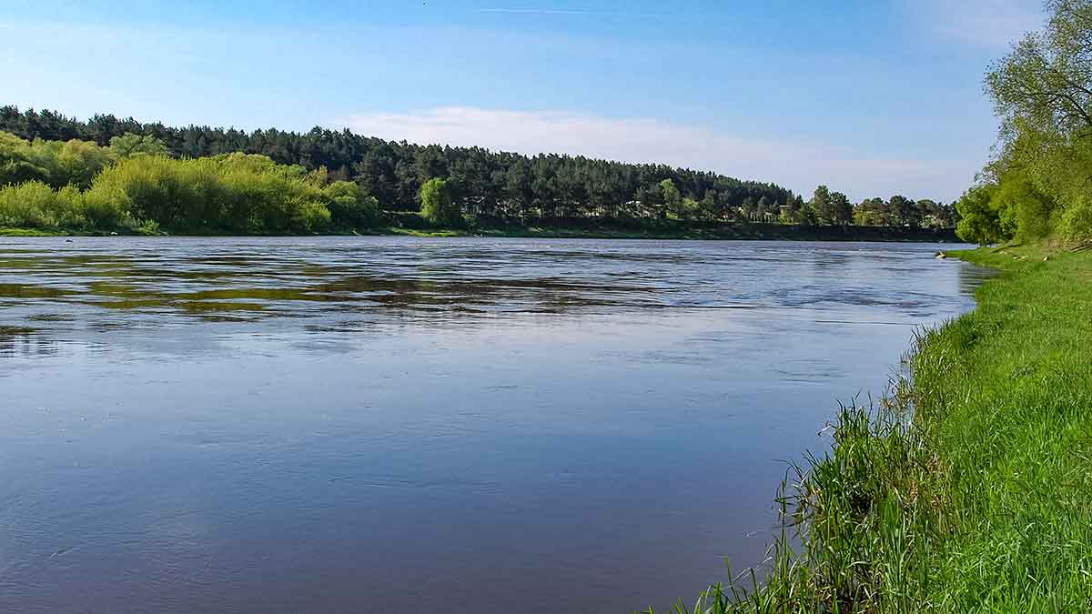 Spiningavimas karštymečiu Spiningavimas karštymečiu