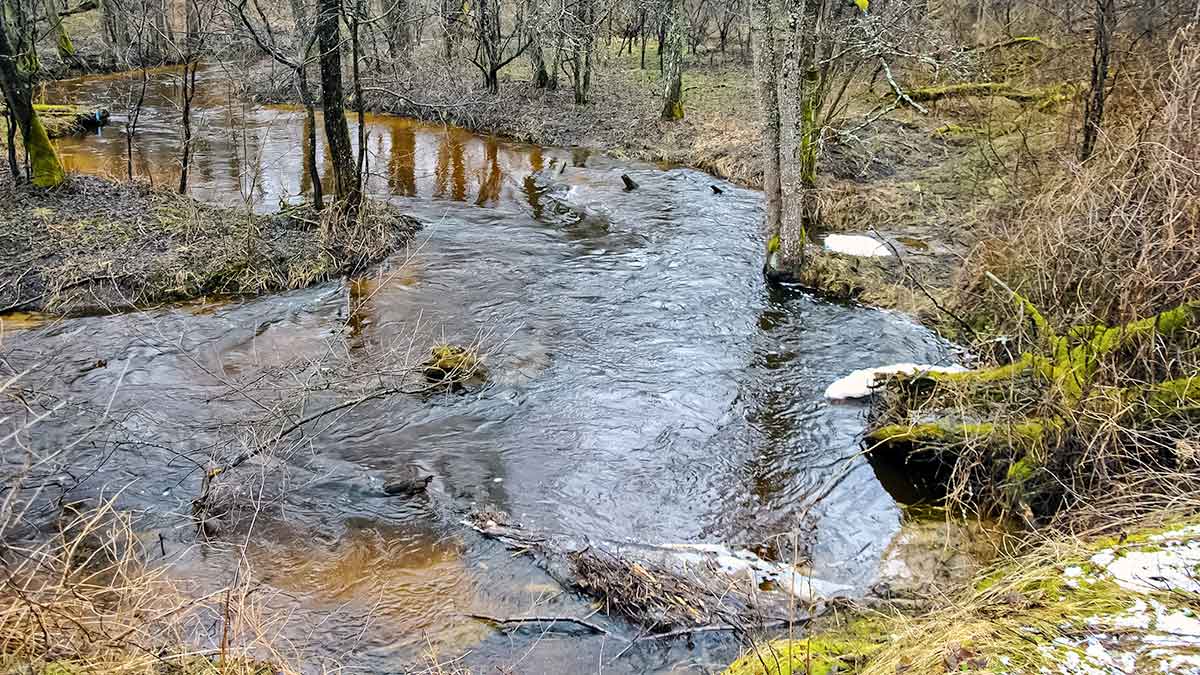 Balta dėmė upėtakininko žemėlapyje? Grūdos intake ir Grūdoje Balta dėmė upėtakininko žemėlapyje? Grūdos intake ir Grūdoje