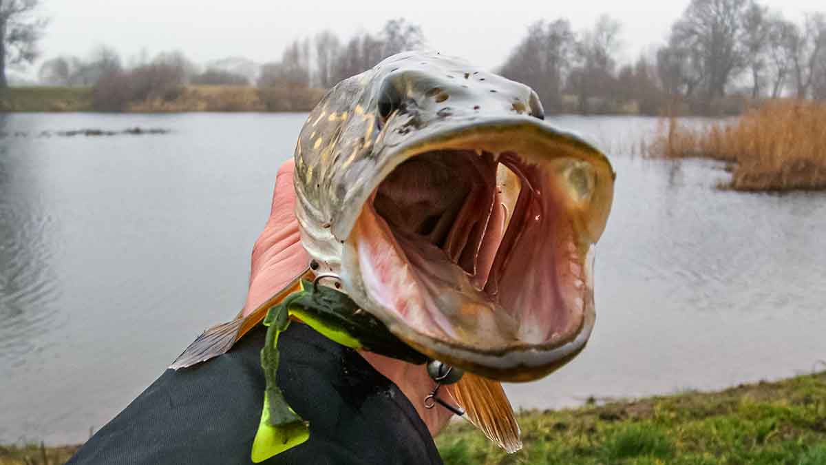 Ten, kur tekėjo upelis. Pirma dalis Ten, kur tekėjo upelis. Pirma dalis