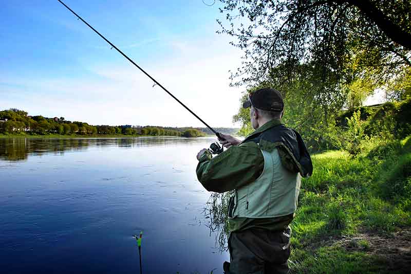 Žiobrius – plūdine meškere Žiobrius – plūdine meškere