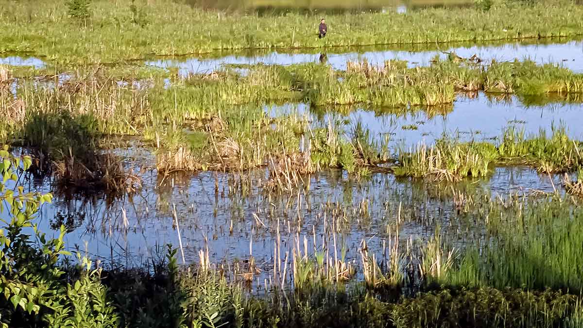 Lyną – ūkiškai Lyną – ūkiškai