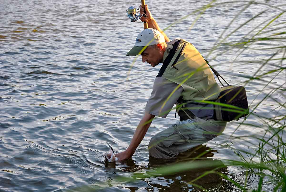 Sterkai ir vobleriai Sterkai ir vobleriai