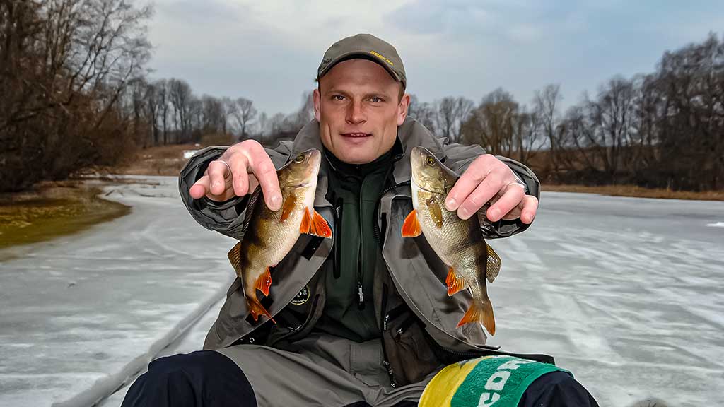 Ant ledo su švytuokle. Pirma dalis Ant ledo su švytuokle. Pirma dalis