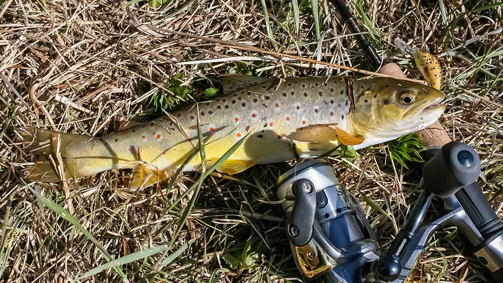 Balta dėmė upėtakininko žemėlapyje? Grūdos intake ir Grūdoje Balta dėmė upėtakininko žemėlapyje? Grūdos intake ir Grūdoje