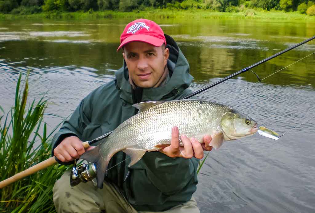 Dar sykį apie salačių gaudymą Dar sykį apie salačių gaudymą