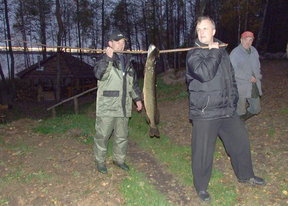 Pasitaiko, kad stambios seliavinės lydekos užkimba, kai vakaro sutemos – jau ant nosies Pasitaiko, kad stambios seliavinės lydekos užkimba, kai vakaro sutemos – jau ant nosies