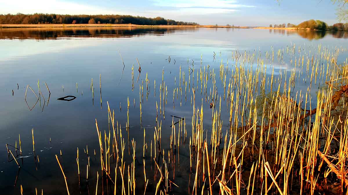 Karšių – į Nemuno žemupį. Antra dalis Karšių – į Nemuno žemupį. Antra dalis