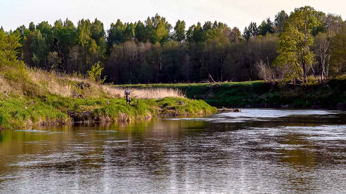 Plačiau apie viršūnėles ir šiek tiek apie dugnines. Antra dalis Plačiau apie viršūnėles ir šiek tiek apie dugnines. Antra dalis